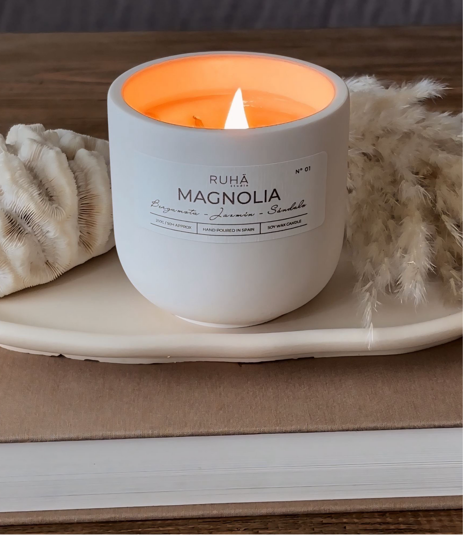 vela magnolia